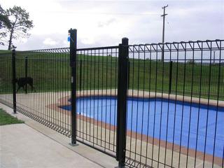 Pool Panel & Gate