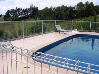 Pool Panel Fence